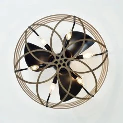 Alaina 24.6 in. Indoor Black and Brown Finish Ceiling Fan with Light Kit and Remote Included by Warehouse of Tiffany -Warehouse of Tiffany Shop black andbrown warehouse of tiffany ceiling fans with lights dw01w13ib 1d 1000