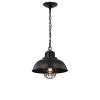 Almonte 13 in. 1-Light Indoor Black Pendant Light with Light Kit by Warehouse of Tiffany -Warehouse of Tiffany Shop black warehouse of tiffany chandeliers hm163 1 64 1000