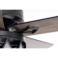 Jescha 52 in. 2-Light Indoor Matte Black Ceiling Fan with Light Kit and Remote by Warehouse of Tiffany -Warehouse of Tiffany Shop matte black warehouse of tiffany ceiling fans with lights al02p01mb 1f 1000