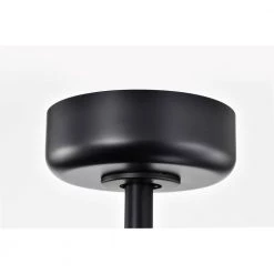 Dakanda 23.6 in. 6-Light Indoor Matte Black Finish Ceiling Fan with Light Kit and Remote by Warehouse of Tiffany -Warehouse of Tiffany Shop matte black warehouse of tiffany ceiling fans with lights dl02p03mb 1f 1000