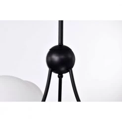 Coraline 30 in. 12-Light Indoor Matte Black Finish Flush Mount Chandelier with Light Kit by Warehouse of Tiffany -Warehouse of Tiffany Shop matte black warehouse of tiffany flush mount lights fd10017 12kb 44 1000