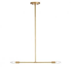 Collin 0.75 in. 2-Light Indoor Matte Gold Chandelier with Light Kit by Warehouse of Tiffany